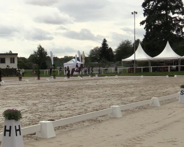 Reitturnier Bergisch Gladbach - Hebborner Hof 2024