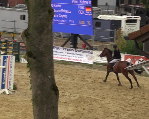 Reitturnier Castrop-Rauxel/Ober-Castrop 2024