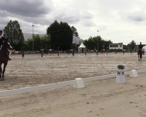 Reitturnier Bergisch Gladbach - Hebborner Hof 2024
