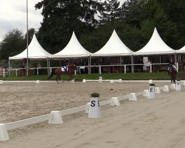 Reitturnier Bergisch Gladbach - Hebborner Hof 2024