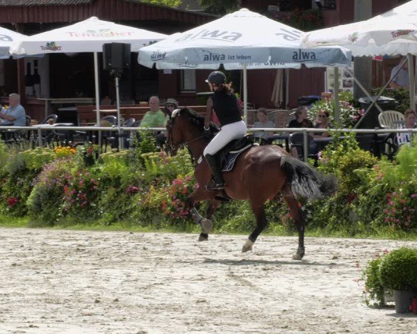Reitturnier Oberderdingen 2024