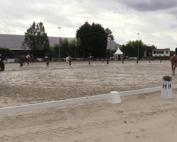 Reitturnier Bergisch Gladbach - Hebborner Hof 2024