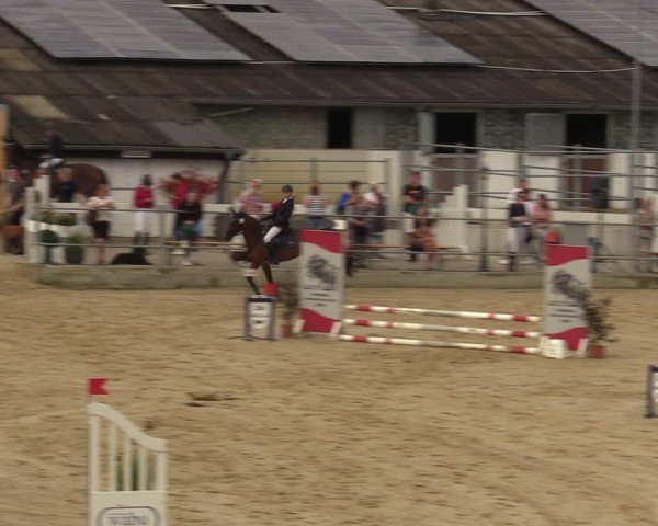 Reitturnier Castrop-Rauxel/Ober-Castrop 2024