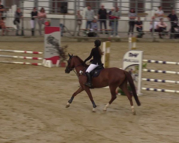 Reitturnier Castrop-Rauxel/Ober-Castrop 2024