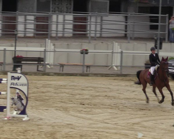 Reitturnier Castrop-Rauxel/Ober-Castrop 2024