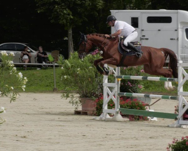 Reitturnier Oberderdingen 2024