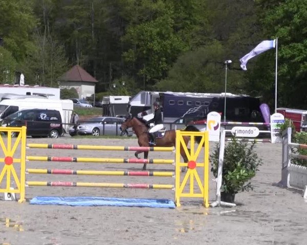 Halver - Frühjahrsturnier 2013