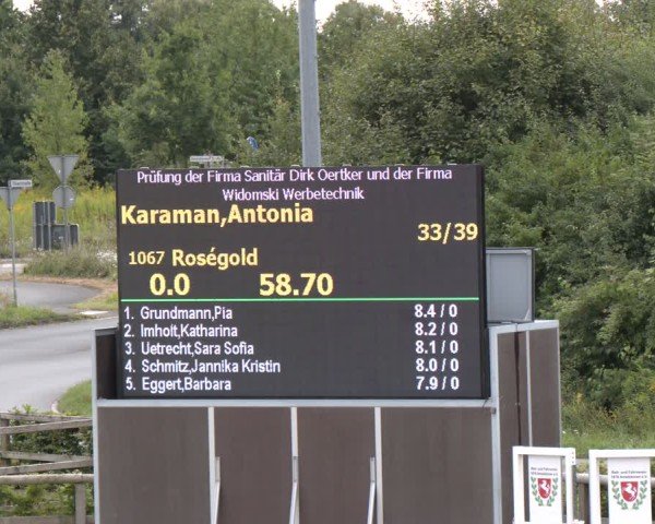 Reitturnier Münster-Amelsbüren 2024