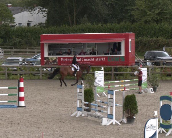 Reitturnier Münster-Amelsbüren 2024