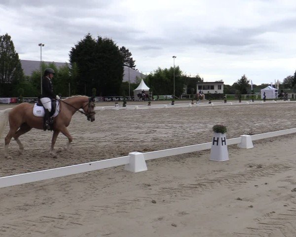 Reitturnier Bergisch Gladbach - Hebborner Hof 2024