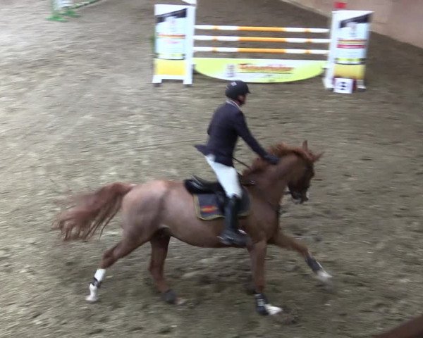 Reitturnier Herzebrock-Rheda 2021