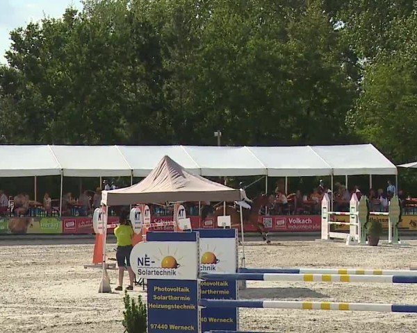 Reitturnier Grafenrheinfeld/Ufr. 2024