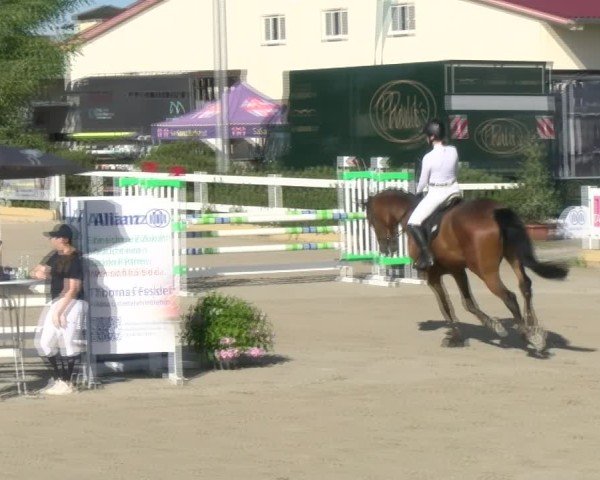 Reitturnier Sauldorf-Boll 2024