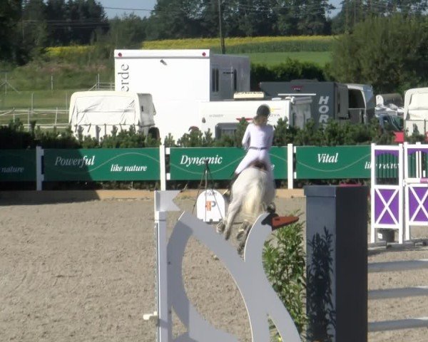 Reitturnier Sauldorf-Boll 2024