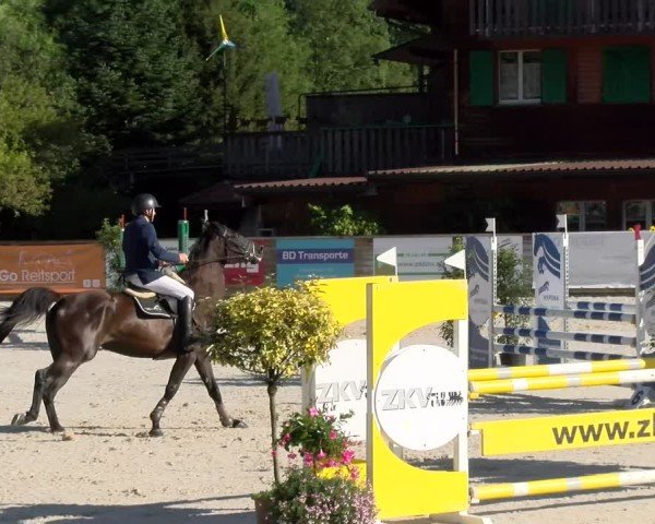 Reitturnier Schüpfheim 2024
