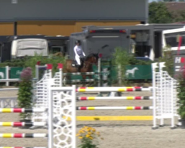 Reitturnier Sauldorf-Boll 2024