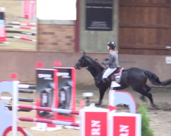 Reitturnier Herzebrock-Rheda 2021