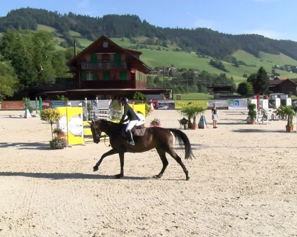 Reitturnier Schüpfheim 2024