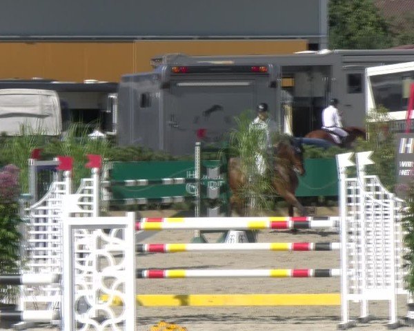 Reitturnier Sauldorf-Boll 2024