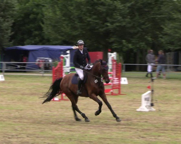 Reitturnier Woldegk 2024