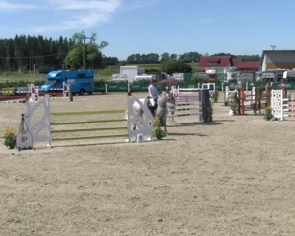 Reitturnier Sauldorf-Boll 2024