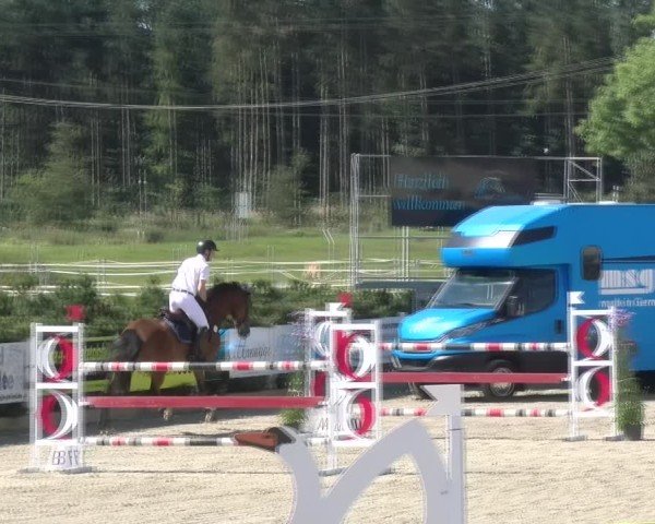 Reitturnier Sauldorf-Boll 2024
