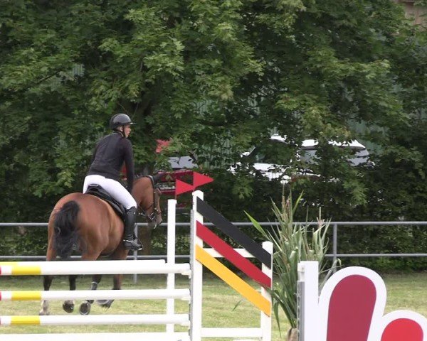 Reitturnier Woldegk 2024