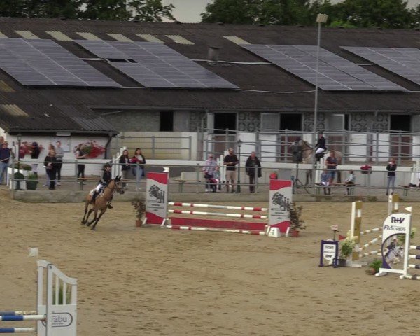 Reitturnier Castrop-Rauxel/Ober-Castrop 2024