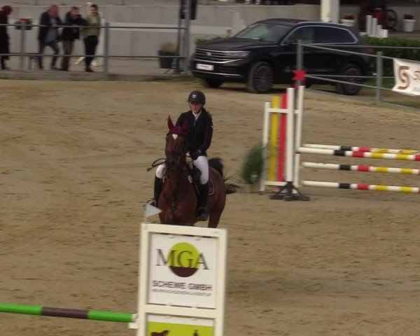 Reitturnier Castrop-Rauxel/Ober-Castrop 2024