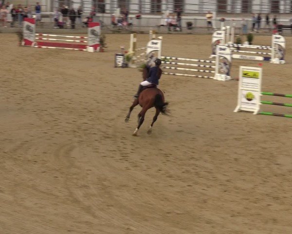 Reitturnier Castrop-Rauxel/Ober-Castrop 2024
