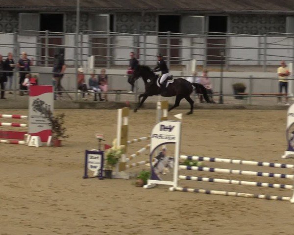 Reitturnier Castrop-Rauxel/Ober-Castrop 2024