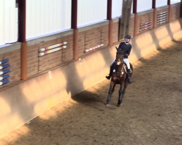 Reitturnier Herzebrock-Rheda 2021