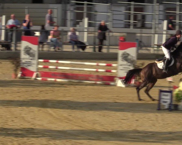 Reitturnier Castrop-Rauxel/Ober-Castrop 2024