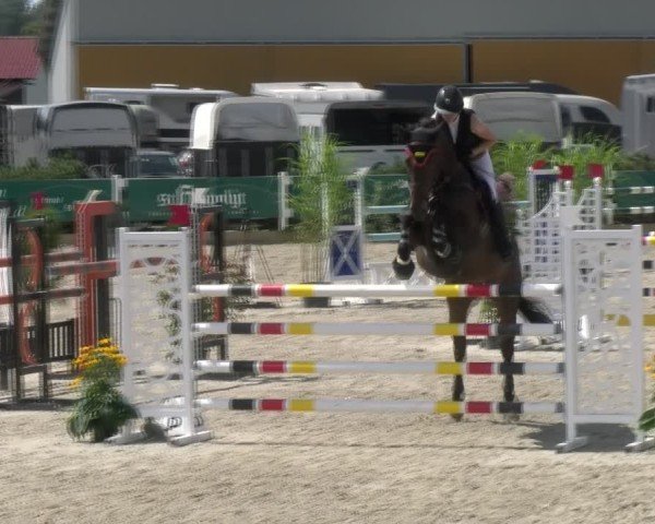 Reitturnier Sauldorf-Boll 2024