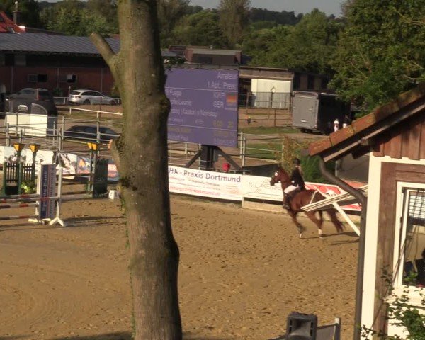 Reitturnier Castrop-Rauxel/Ober-Castrop 2024