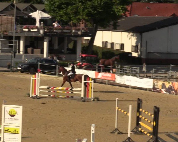 Reitturnier Castrop-Rauxel/Ober-Castrop 2024