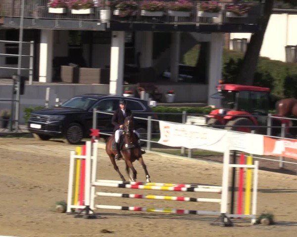 Reitturnier Castrop-Rauxel/Ober-Castrop 2024