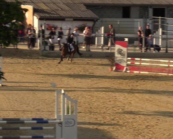 Reitturnier Castrop-Rauxel/Ober-Castrop 2024