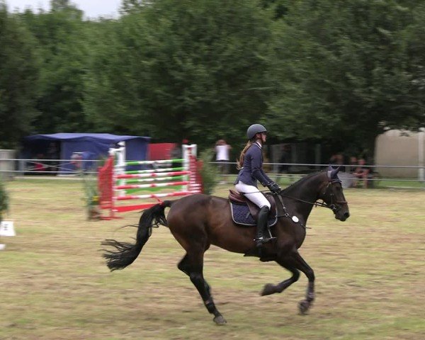 Reitturnier Woldegk 2024