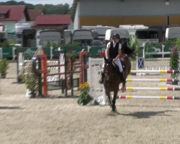 Reitturnier Sauldorf-Boll 2024