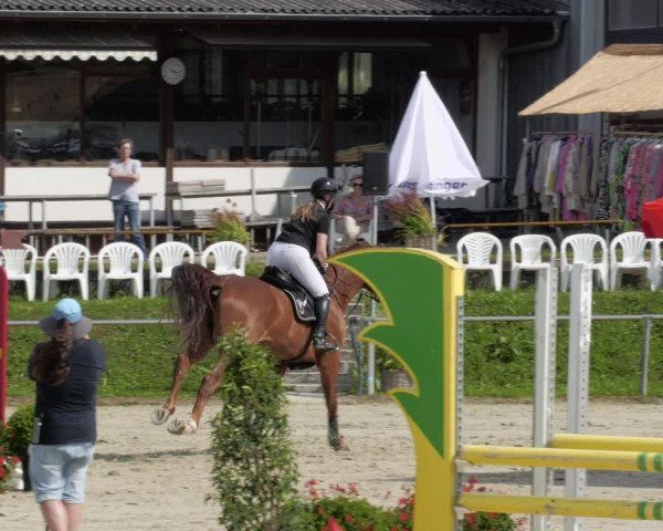 Reitturnier Oberderdingen 2024