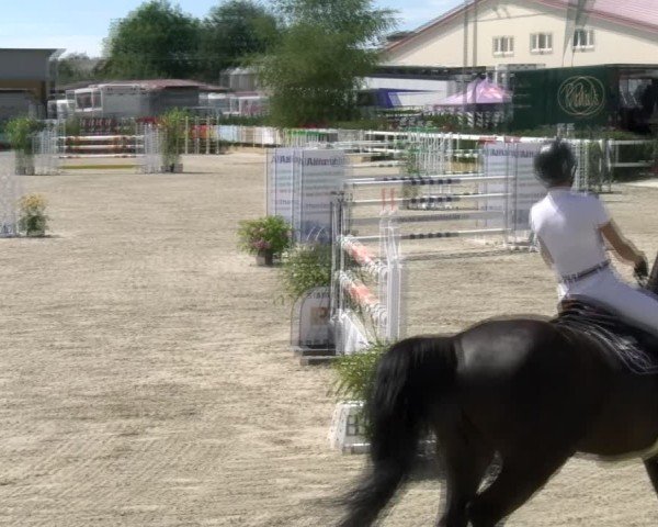 Reitturnier Sauldorf-Boll 2024