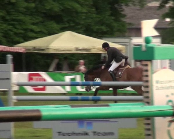 Pfingst-Dressur- und Springturnier 2013 des ZRFV Borken