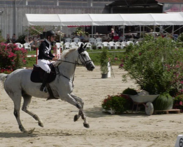 Reitturnier Oberderdingen 2024