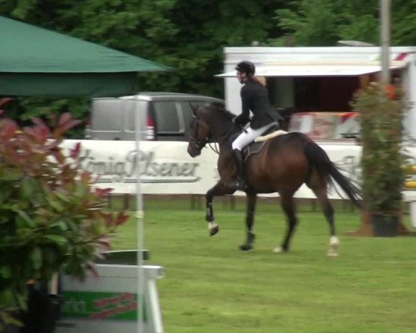 Pfingst-Dressur- und Springturnier 2013 des ZRFV Borken