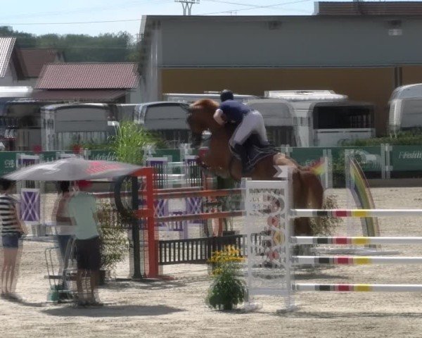 Reitturnier Sauldorf-Boll 2024