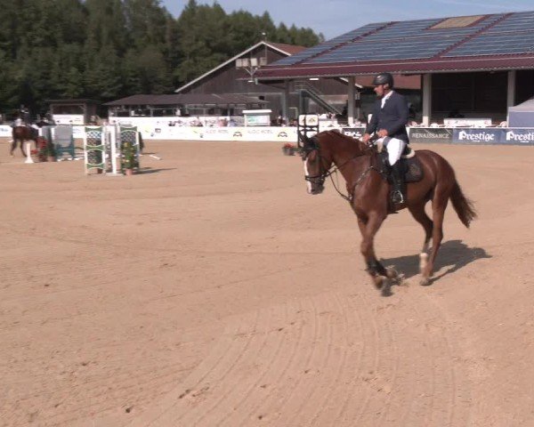 Reitturnier Ranshofen - Braunau am Inn 2024