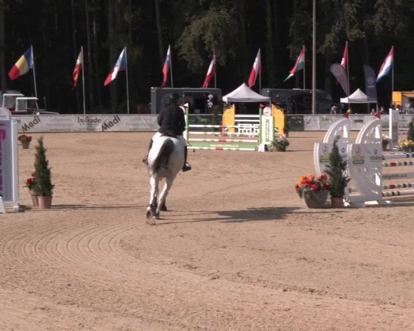 Reitturnier Ranshofen - Braunau am Inn 2024