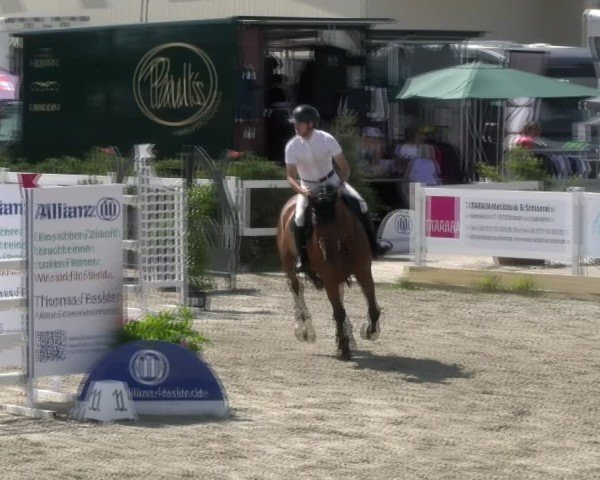 Reitturnier Sauldorf-Boll 2024