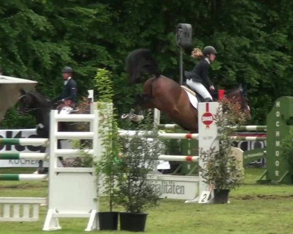 Pfingst-Dressur- und Springturnier 2013 des ZRFV Borken